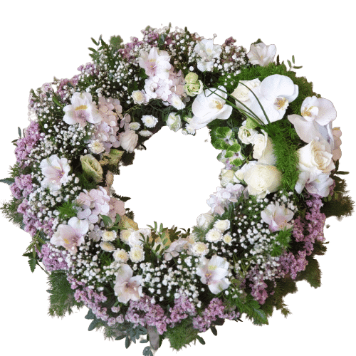 20220706_182944-rotated-scaled-removebg-preview