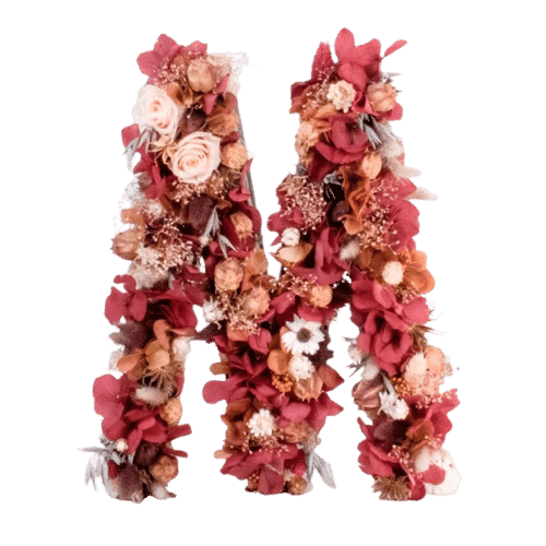 Inicial-grande-1-removebg-preview